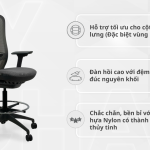 Ghế Công Thái Học Văn Phòng VXTDL