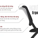 Ghế Training Liền Bàn KTNFM MyChair