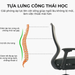 Ghế Xoay Văn Phòng Cao Cấp MyChair VXSDA