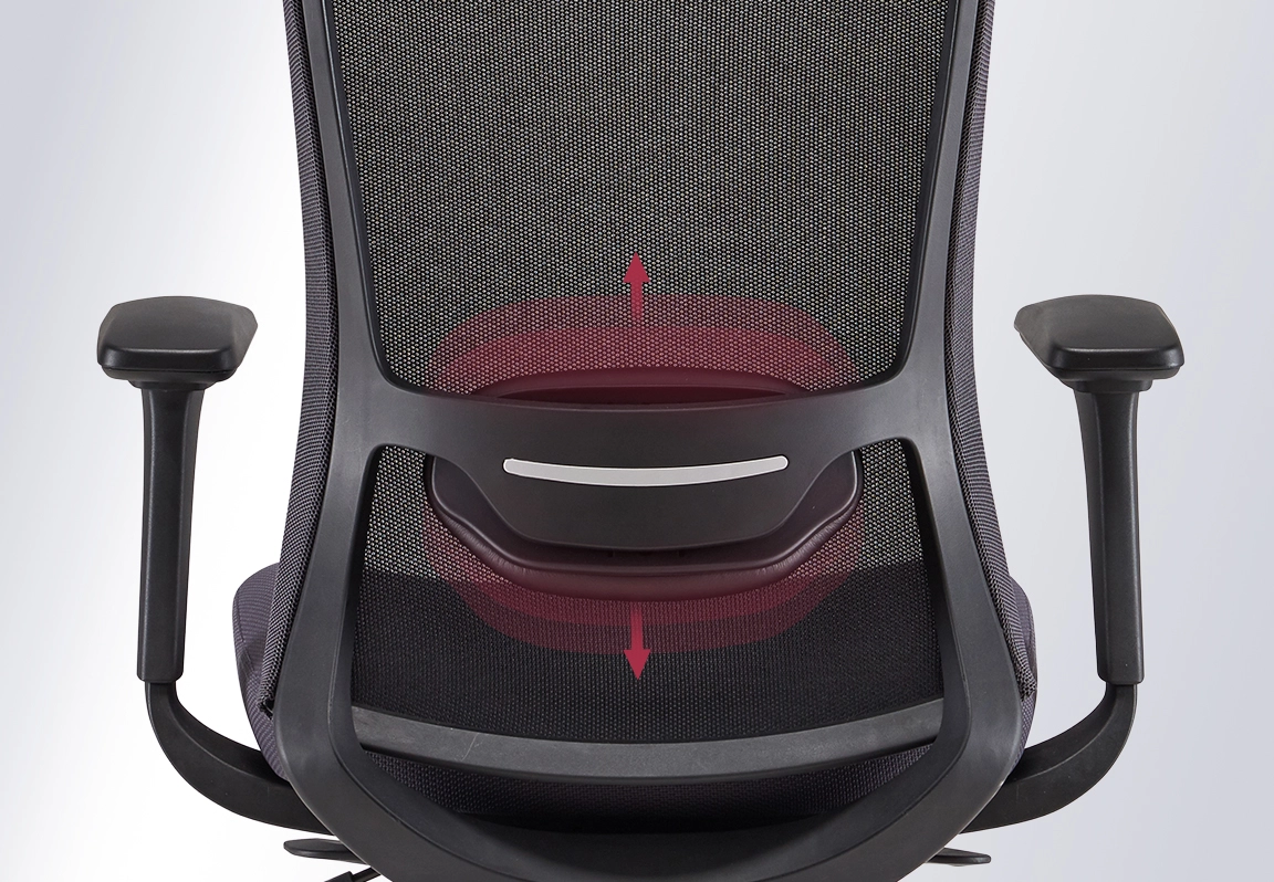 ghế c&ocirc;ng th&aacute;i học fm114ab