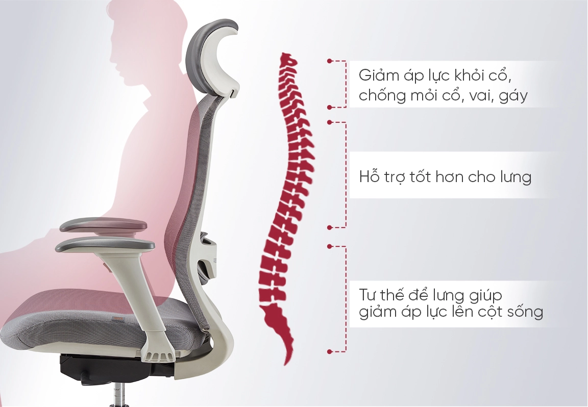 ghế c&ocirc;ng th&aacute;i học fm114aw