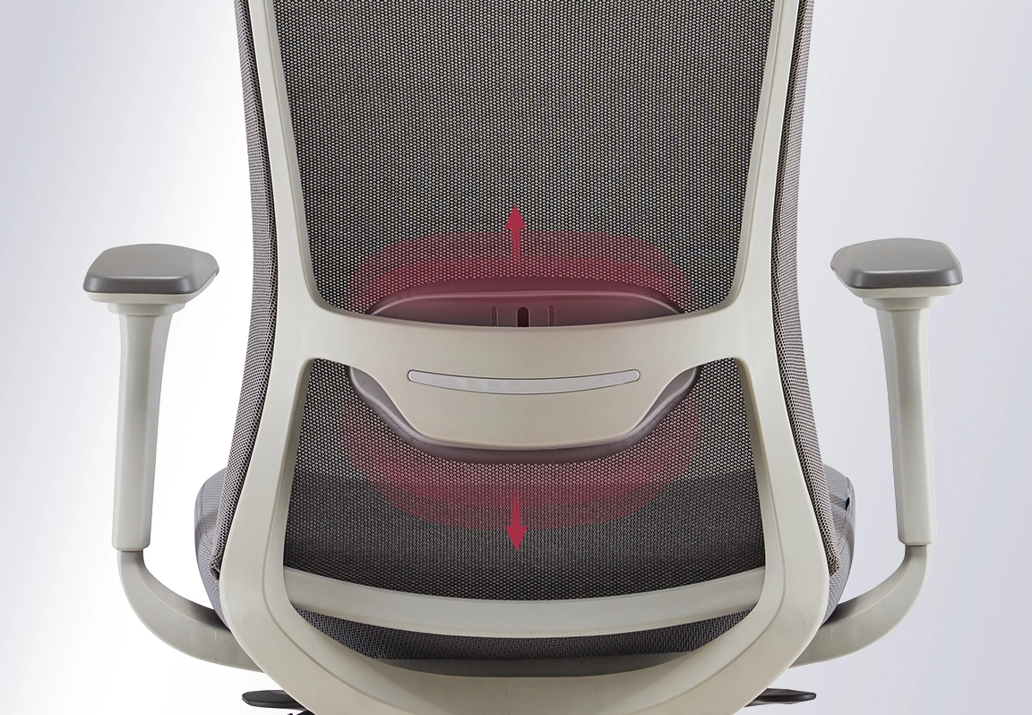 ghế c&ocirc;ng th&aacute;i học fm114aw