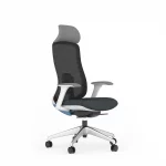 ghế công thái học fm115aw