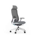 ghế công thái học fm115aw