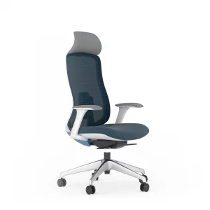 ghế công thái học fm115aw