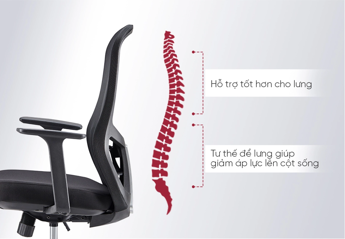 ghế lưng trung fm33b