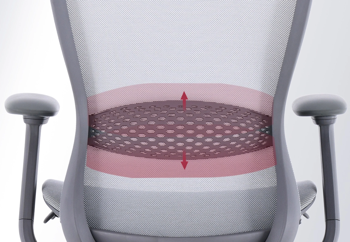 lumbar ghế c&ocirc;ng th&aacute;i học vxmda