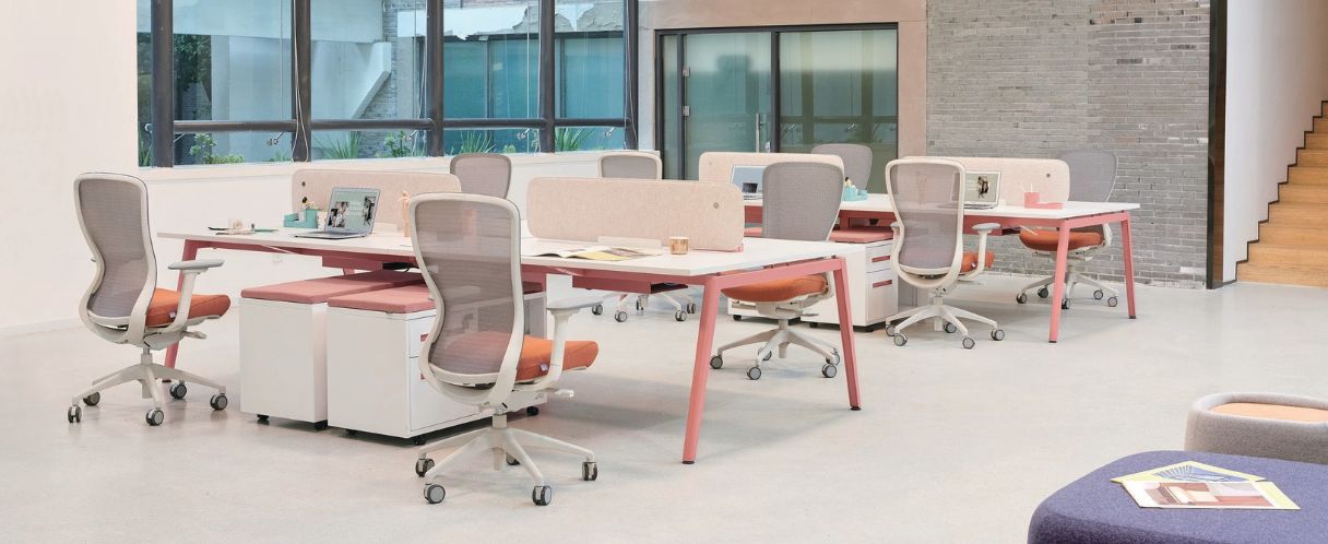 ghế c&ocirc;ng th&aacute;i học vxsda