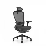 Ghế công thái học VXTDA-1