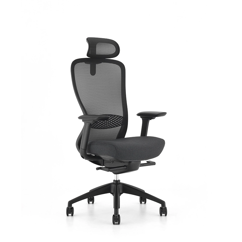 Ghế công thái học VXTDA-1