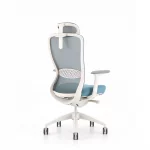 Ghế Làm Việc Công Thái Học MyChair VXTDA