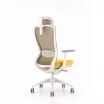 Ghế Làm Việc Công Thái Học MyChair VXTDA