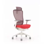 Ghế Làm Việc Công Thái Học MyChair VXTDA