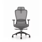 Ghế Làm Việc Công Thái Học MyChair VXTDA