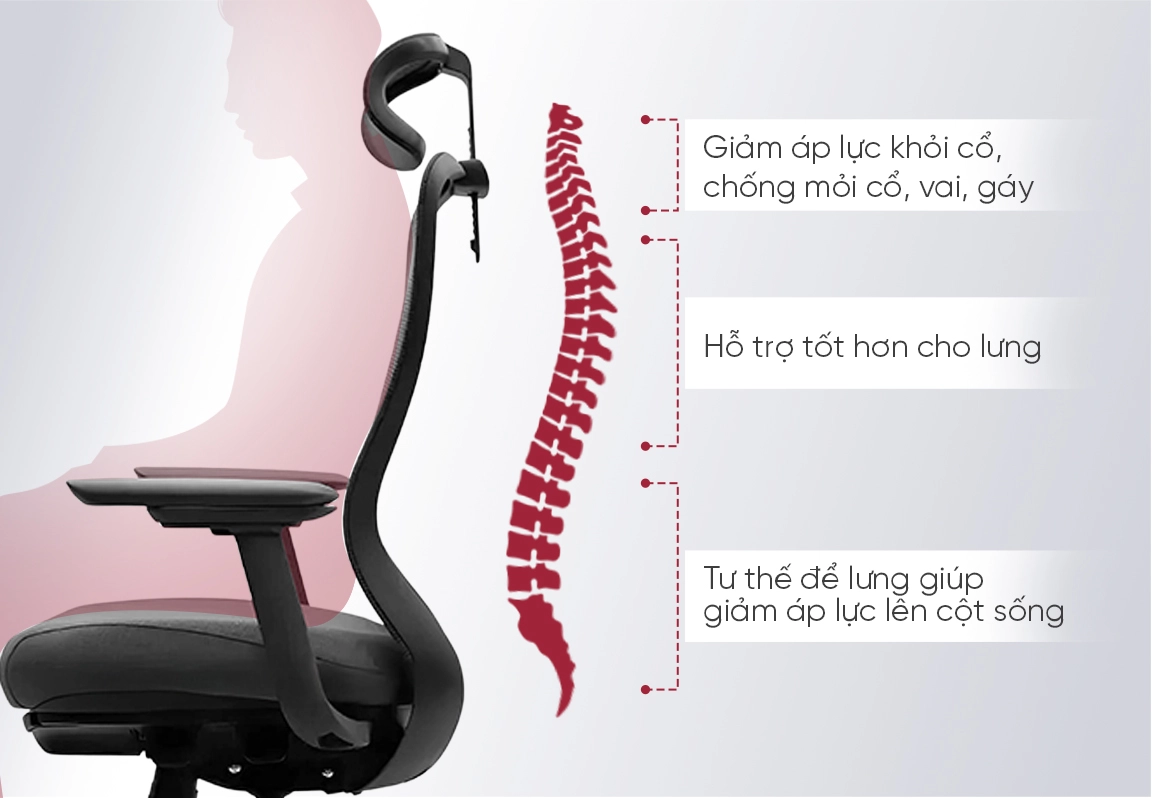 ghế c&ocirc;ng th&aacute;i học vxyral