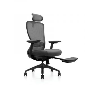 Ghế Công Thái Học VXYRAL