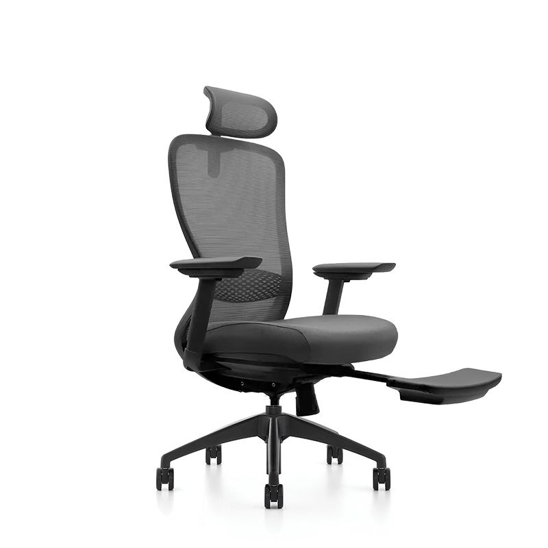 Ghế Công Thái Học VXYRAL