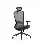 Ghế Công Thái Học VXYRAL