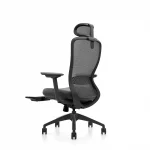 Ghế Công Thái Học VXYRAL