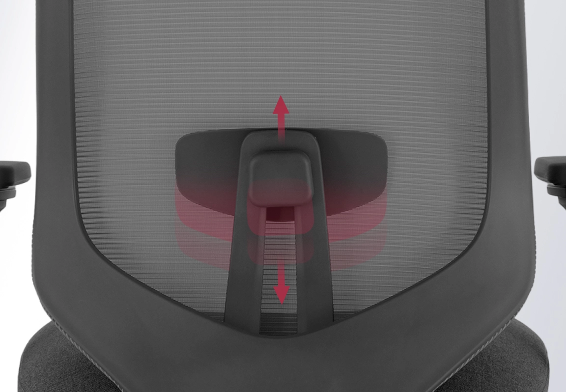 điều chỉnh lumbar