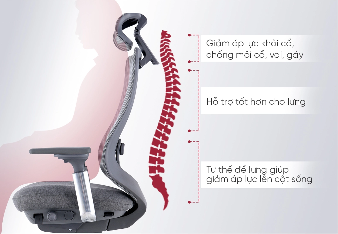 lưng ghế c&ocirc;ng th&aacute;i học xktda