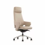 Ghế Giám Đốc Da Cao Cấp Nhập Khẩu MyChair FA120A