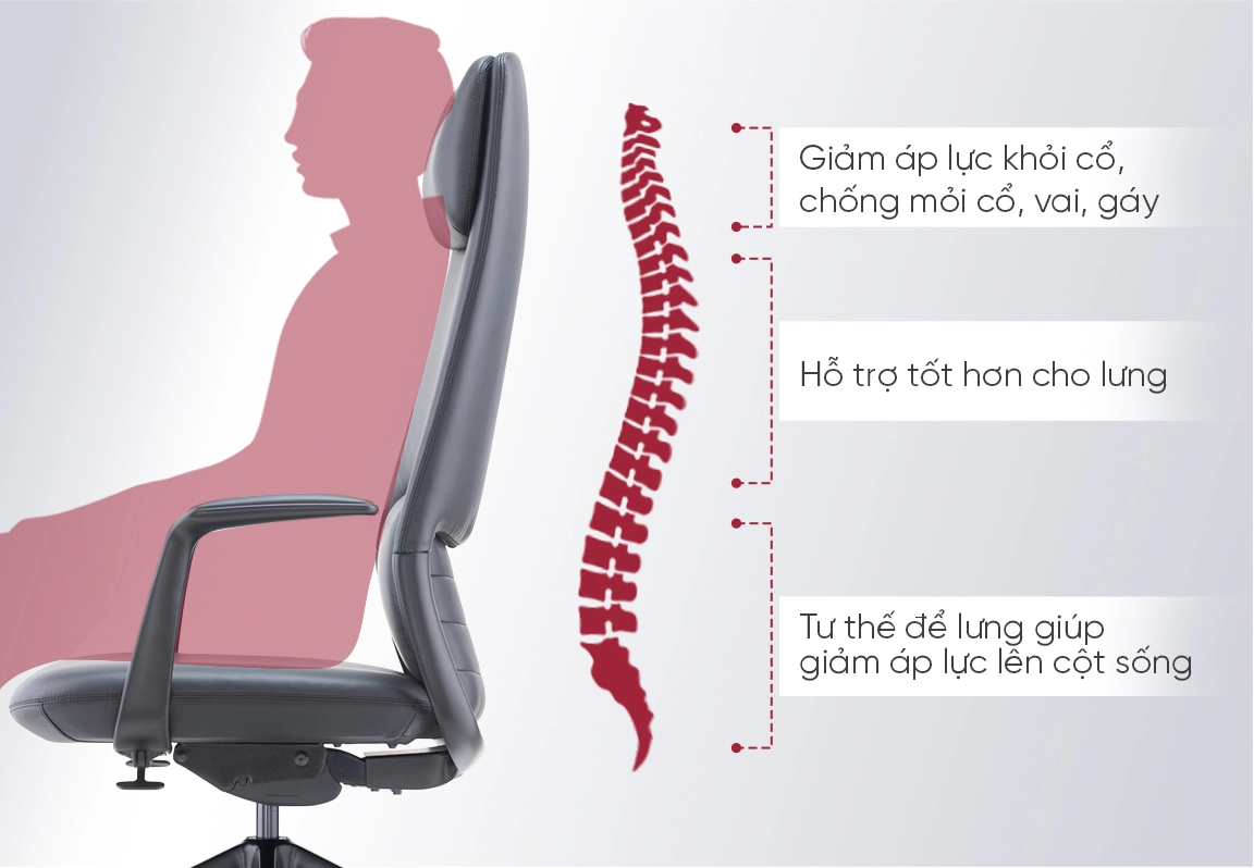 lưng ghế c&ocirc;ng th&aacute;i học fa20a