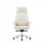 Ghế Giám Đốc Da Cao Cấp Nhập Khẩu MyChair FA620A