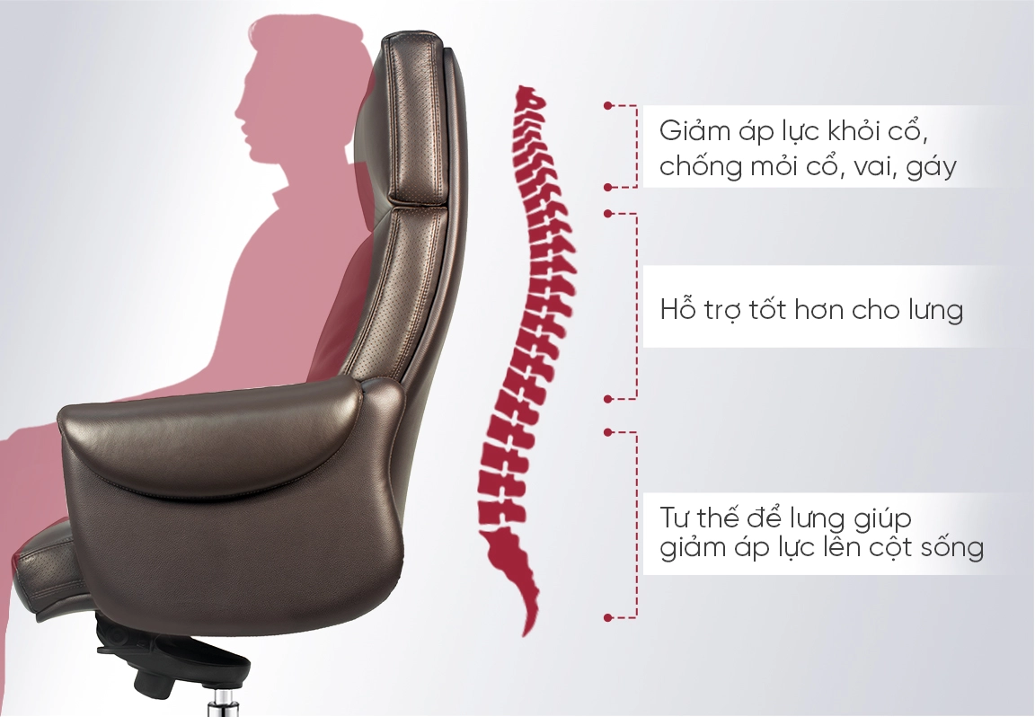 lưng ghế no120a thiết kế c&ocirc;ng th&aacute;i học