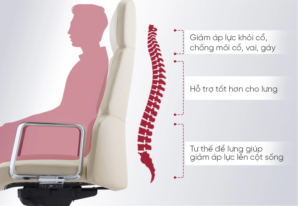 lưng ghế công thái học no423a