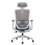 Ghế Lưới Văn Phòng MyChair FM48AW-2