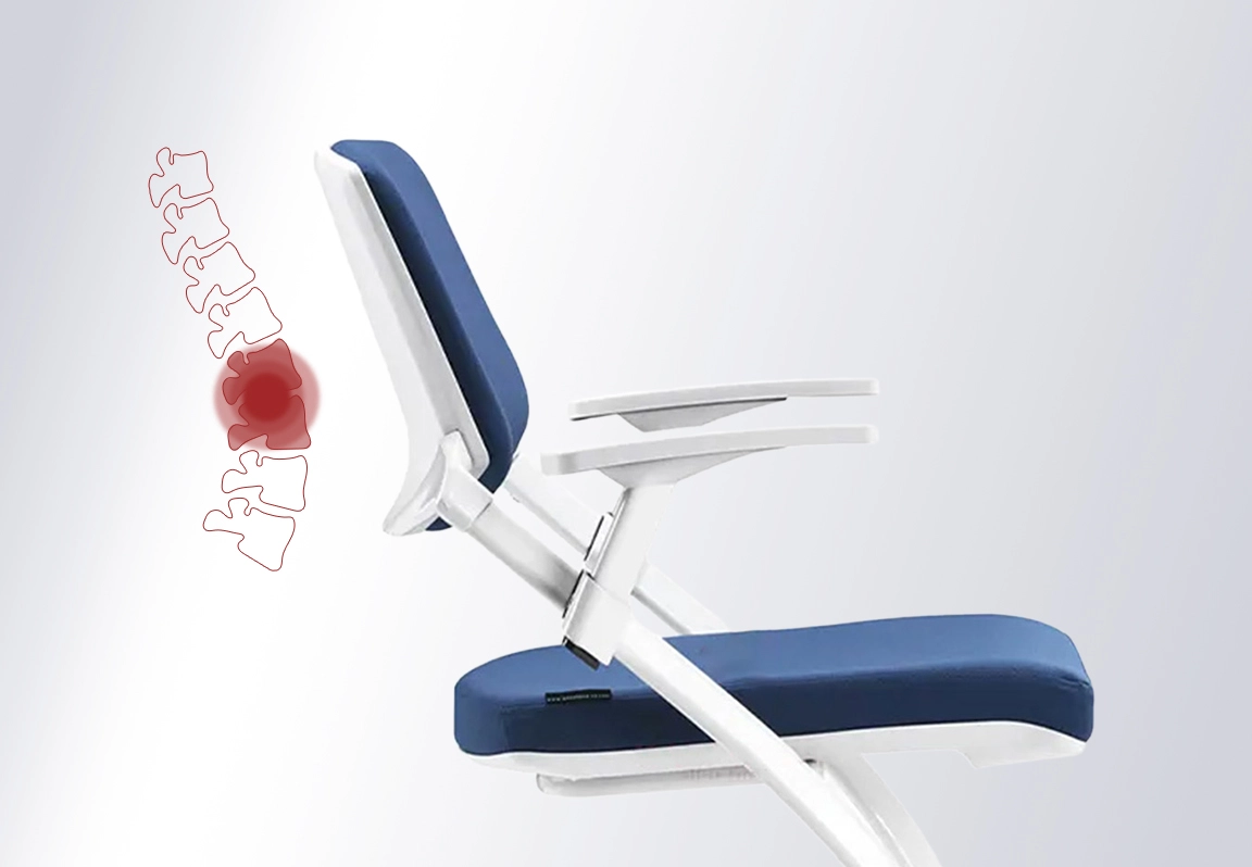 ghế training cao cấp TN796B