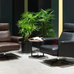 Armchair Da Cao Cấp Nhập Khẩu MyChair SF092A