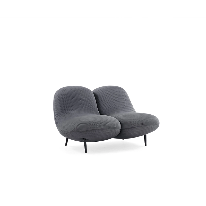 Sofa Vải Cao Cấp Nhập Khẩu 2 Chỗ MyChair SF802-2