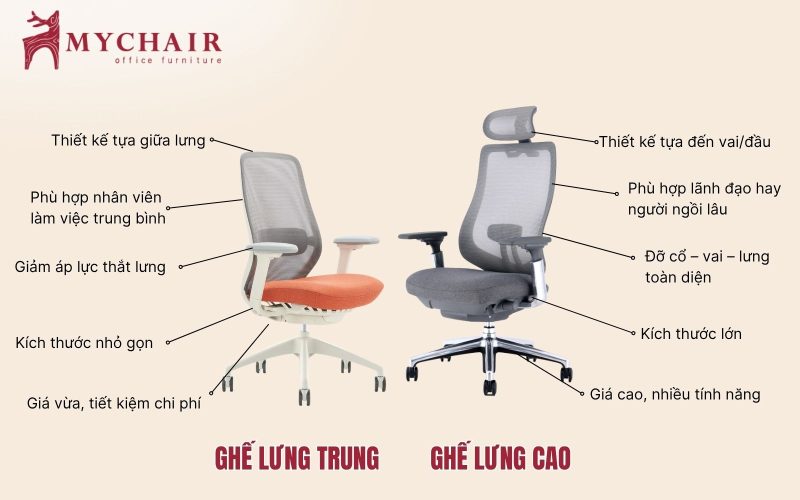 Các yếu tố quyết định nên chọn ghế văn phòng lưng trung hay lưng thấp Các yếu tố quyết định nên chọn ghế văn phòng lưng trung hay lưng thấp