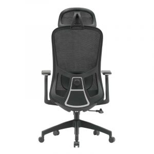 ghế công thái học nychair t30h