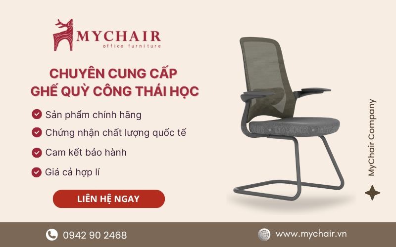 ghế quỳ công thái học