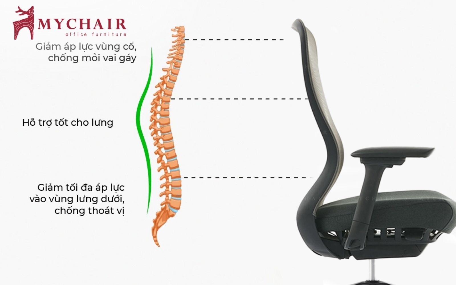 ghế công thái học loại nào tốt