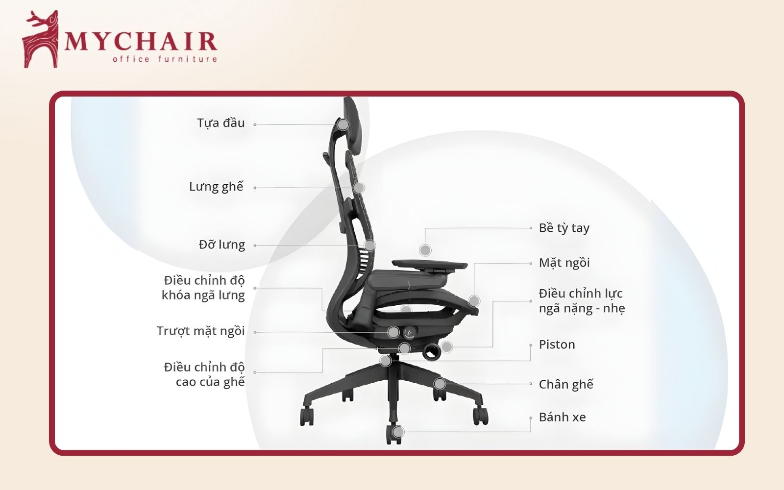 Khám phá cấu tạo ghế công thái học gồm những gì