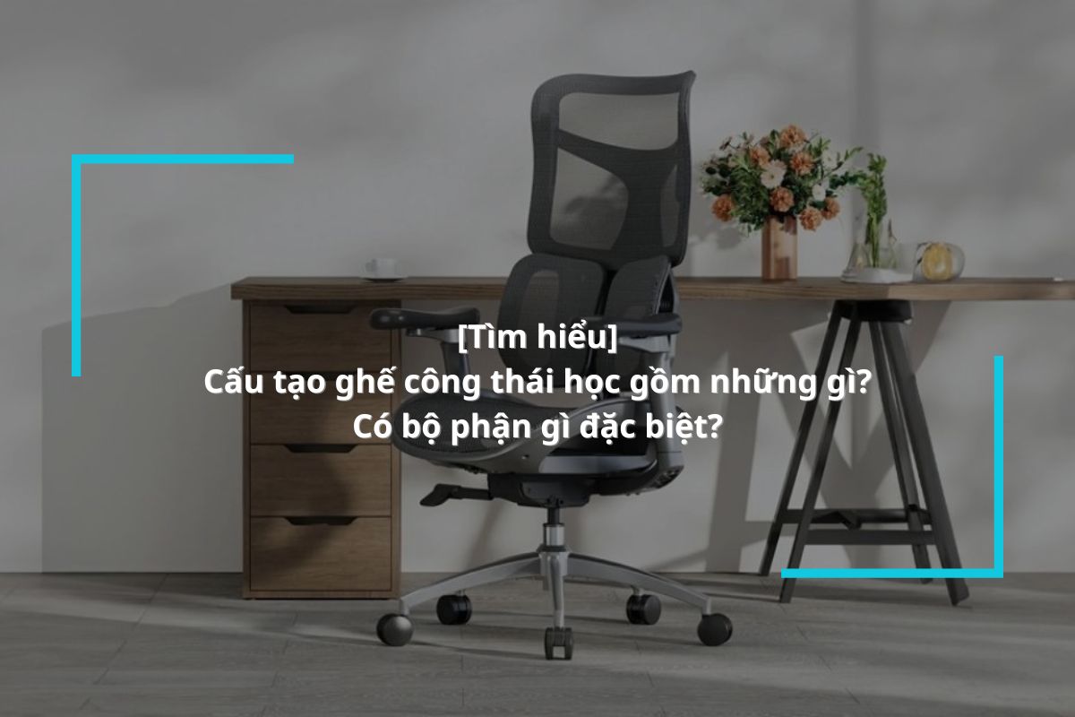 Khám phá các bộ phận của ghế công thái học ergonomic