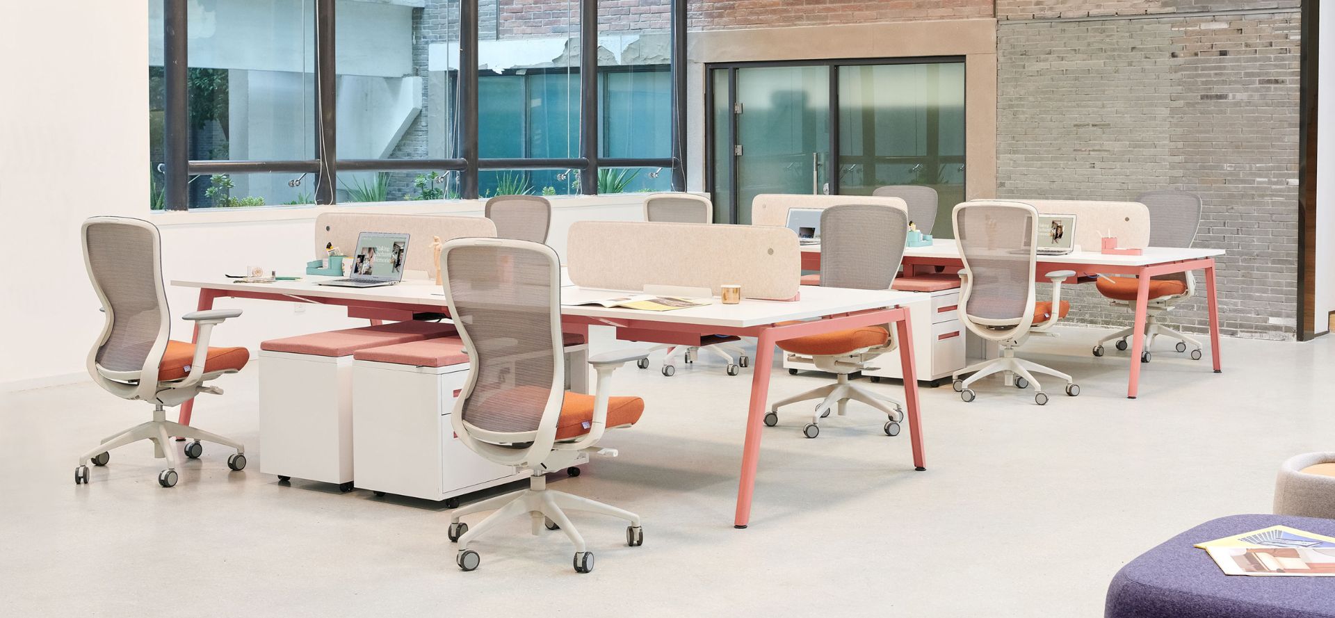 ghế công thái học