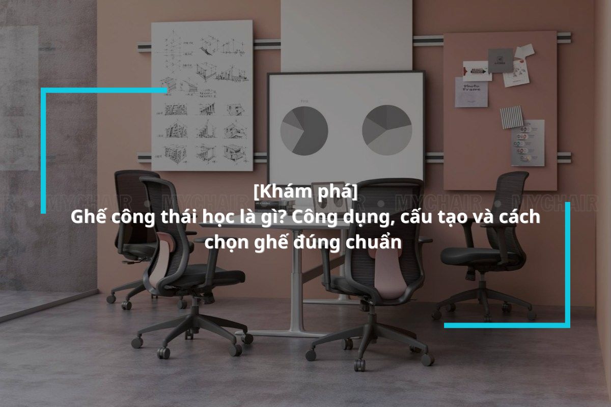 Ghế thái công học là gì? Công dụng, cấu tạo và cách chọn chuẩn