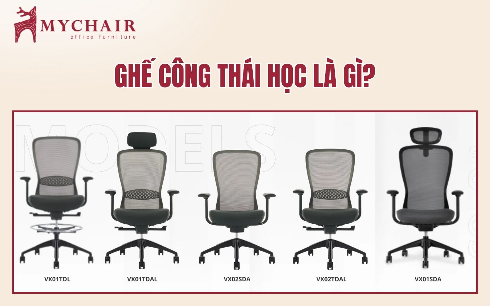 ghế công thái học là gì
