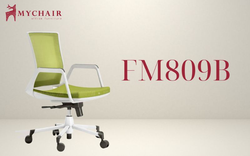 ghế công thái học lưng thấp cho người dưới 1m50