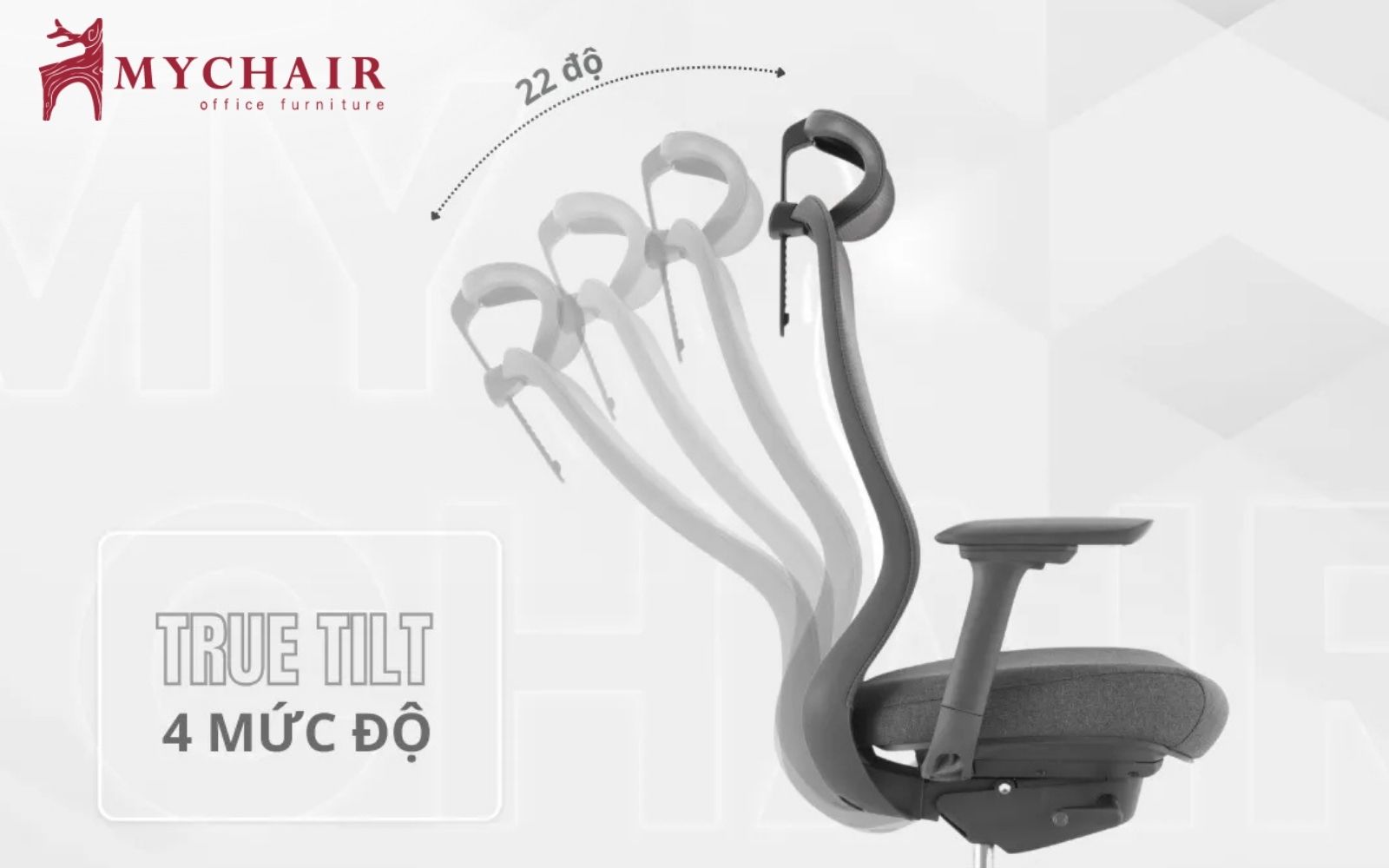 chế độ tùy chỉnh của ghế công thái học