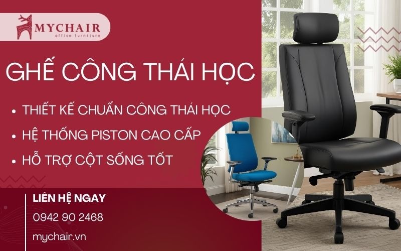 mua ghế công thái học ở đâu
