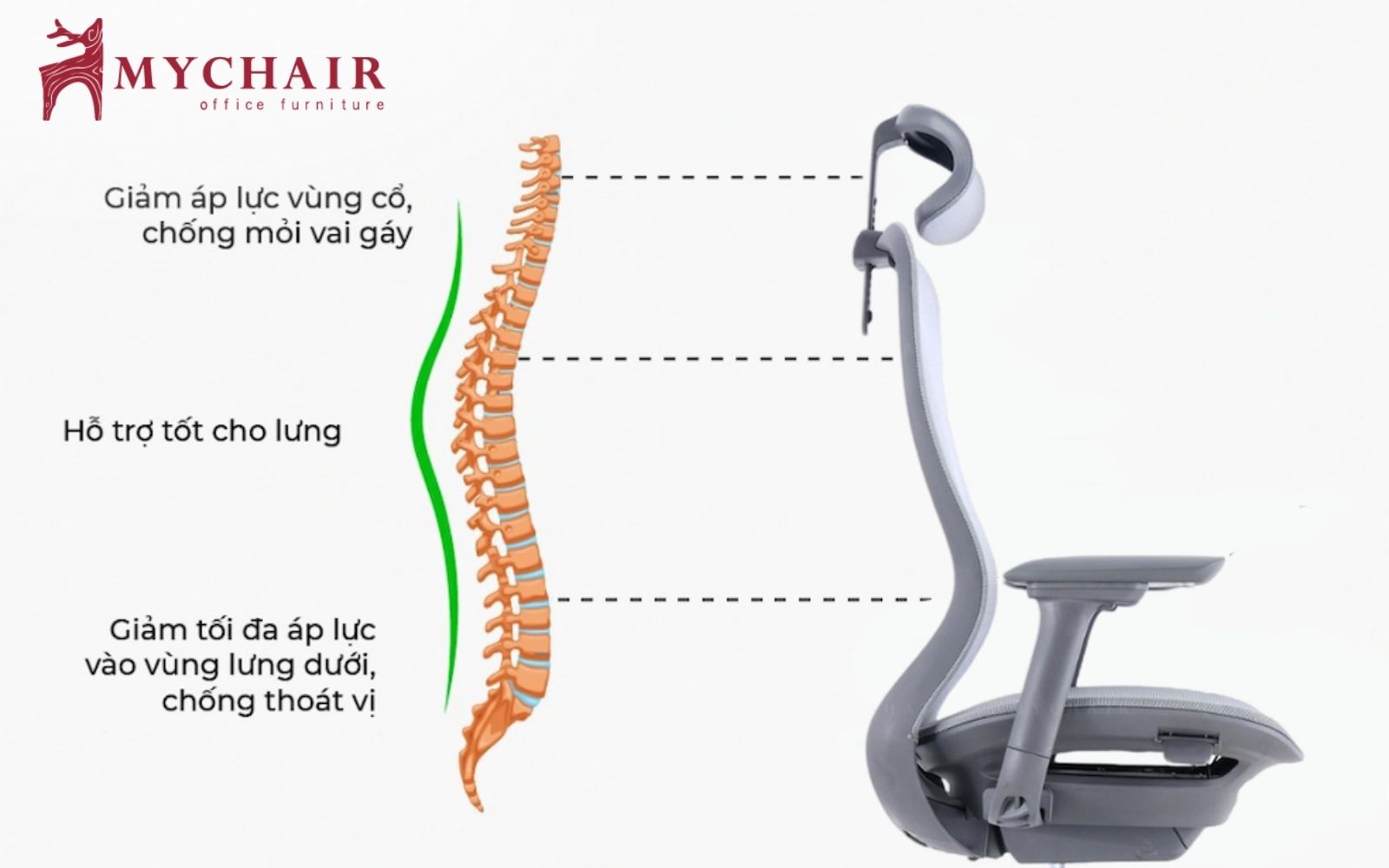 Tựa lưng hình chữ S giúp hỗ trợ cột sống người ngồi