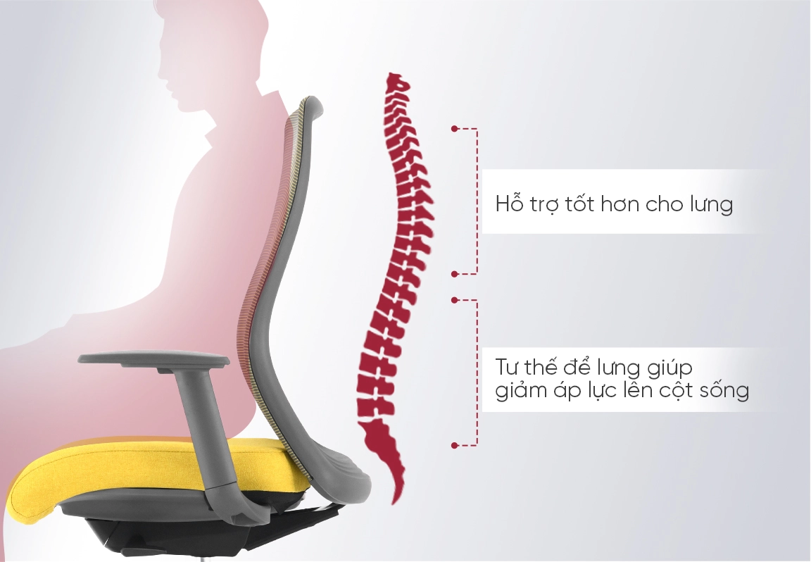 thiết kế lưng ghế c&ocirc;ng th&aacute;i học erasda-1