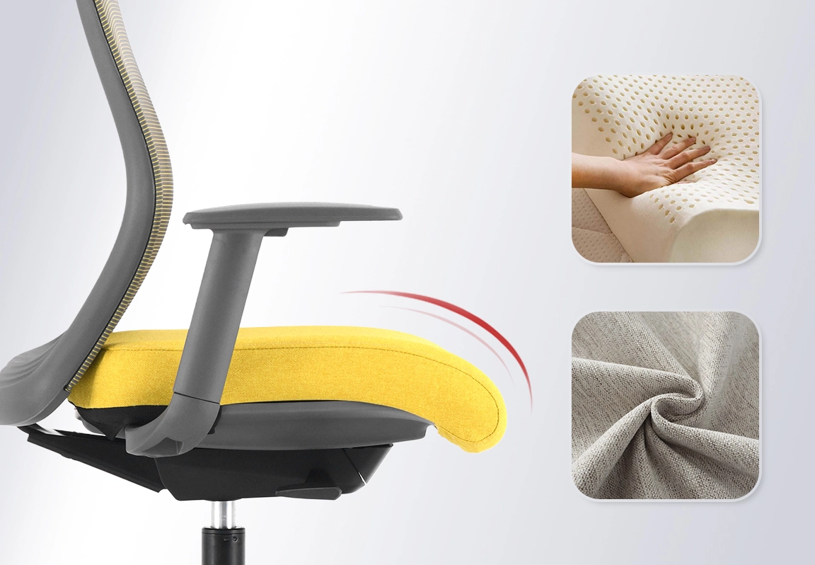 đệm ngồi ghế c&ocirc;ng th&aacute;i học erasda-1