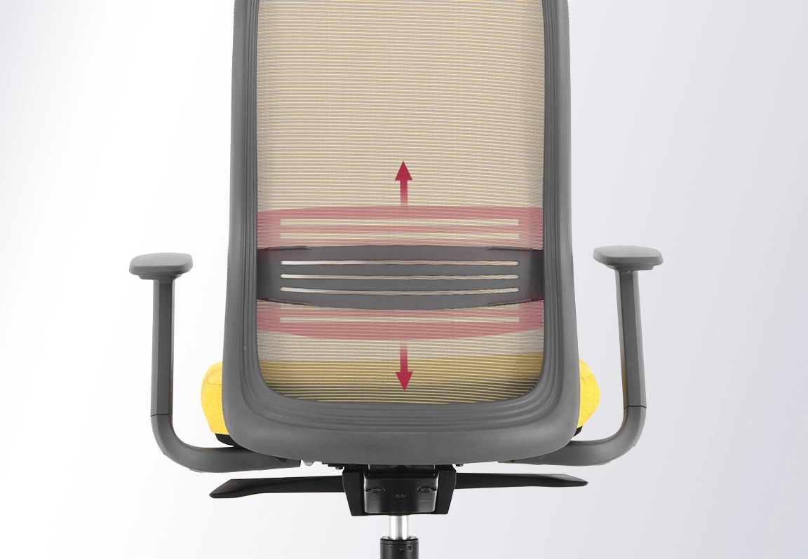 chỉnh lumbar ghế c&ocirc;ng th&aacute;i học erasda-1